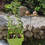 Alpinum Lungau Moderne Mit Garten Tamsweg