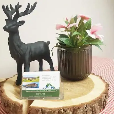 Alpinum Residence Lungau Top 08 Appartamento