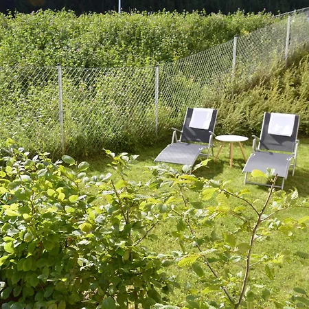 Apartment Lungau Residence Top 08 - Apartment mit privatem Garten Tamsweg